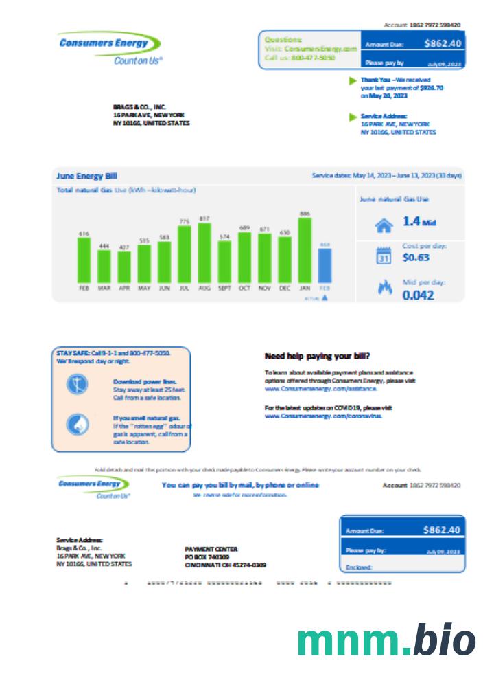 Michigan Consumers Energy rachunek za usługi komunalne, Word i szablon PDF
